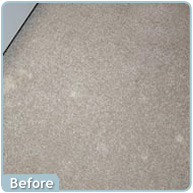 Carpet Dye Spotting (Before)